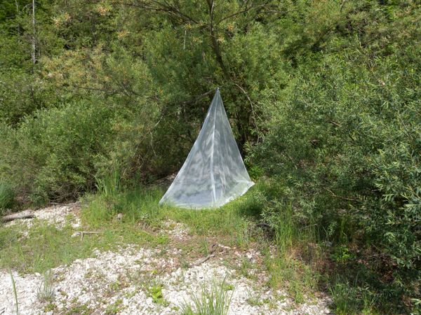 moskytiéra Brettschneider Expedition Natural Pyramide 1 - impregnovaná moskytiera